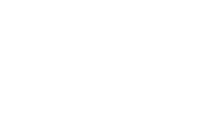 Boskalis