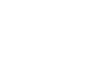 Huisman